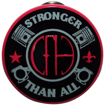 Pantera - Stronger - Kitűző Szett - PANTPIN19