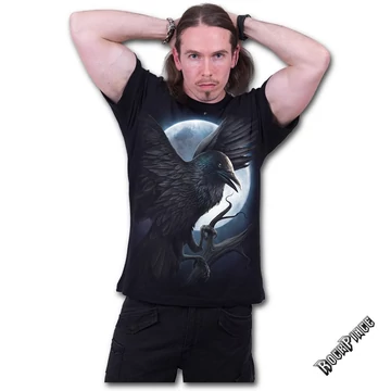 NIGHT CREATURE - T-Shirt Black - T116M101