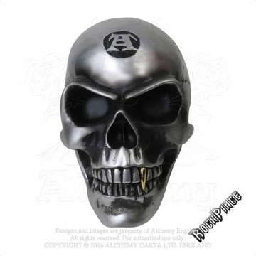 Alchemy - Metalised Alchemist Skull - koponya V41