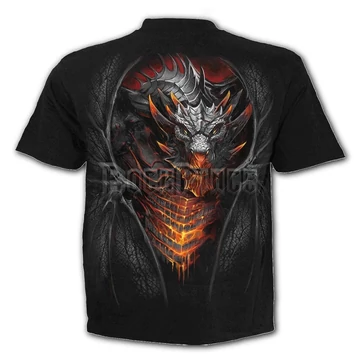 DRACONIS - T-Shirt Black - L046M101