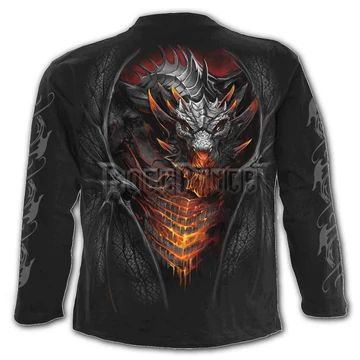 DRACONIS - Longsleeve T-Shirt Black (Plain) - L046M301