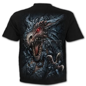 DRAGON&#039;S LAIR - T-Shirt Black - L049M101