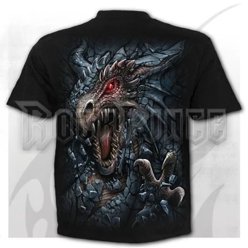 DRAGON&#039;S LAIR - Kids T-Shirt Black - L049K101