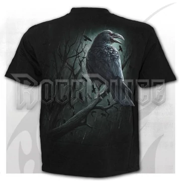 SHADOW RAVEN - Kids T-Shirt Black - M027K101