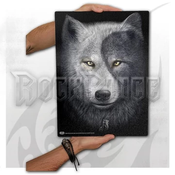 WOLF CHI - Glass Chopping Board (Rectangular) - T118A022