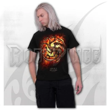 HOD - DRAGON FLAMES - Front Print T-Shirt Black - G553M121