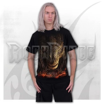 HOD - DRAGON THRONE - Front Print T-Shirt Black - G555M121