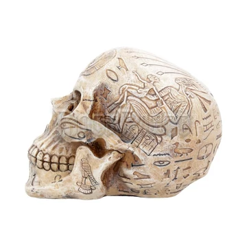 Hieroglyphic Skull - koponya - D4227M8