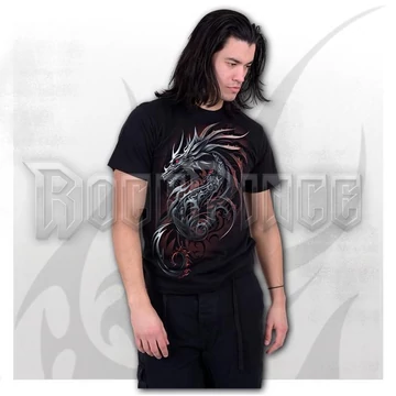 DRAGON SHARDS - Front Print T-Shirt Black - L063M121