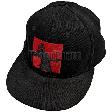 Disturbed - Evolution - baseball sapka - DISCAP01B