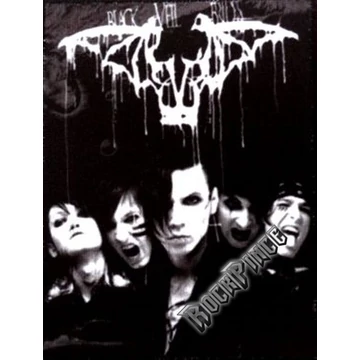 BLACK VEIL BRIDES - FOTÓ - kisfelvarró