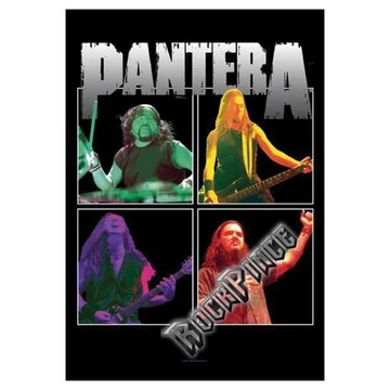 Pantera - poszterzászló - POS942