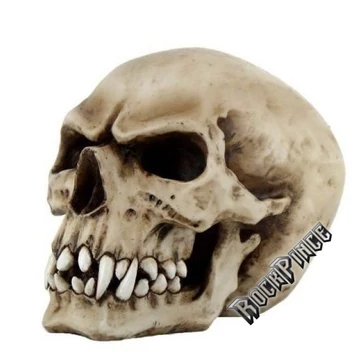 Orc Skull - koponya - 766-248