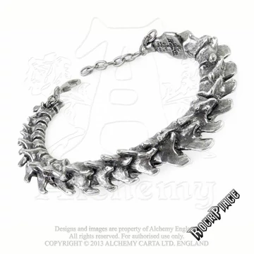 Alchemy - Vertebrae - karkötő A29