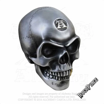 Alchemy - Metalised Alchemist Skull - koponya V41