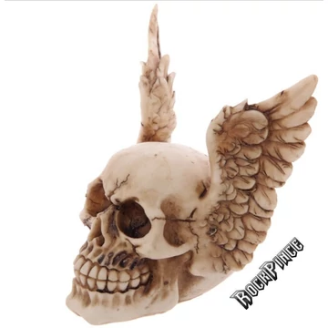 SZÁRNYAS KOPONYA - SK222