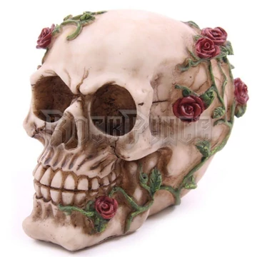 Skull with Roses - koponya - SK123/B