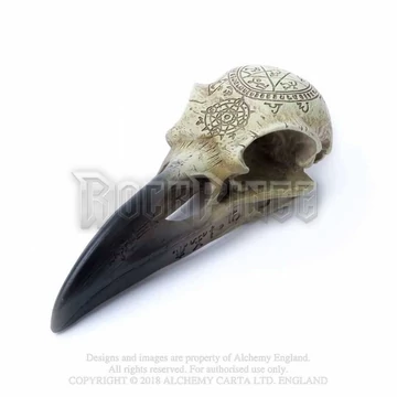 Alchemy - Omega Raven Skull - hollókoponya V67