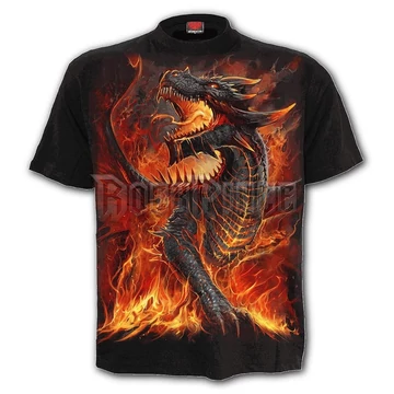 DRACONIS - T-Shirt Black - L046M101