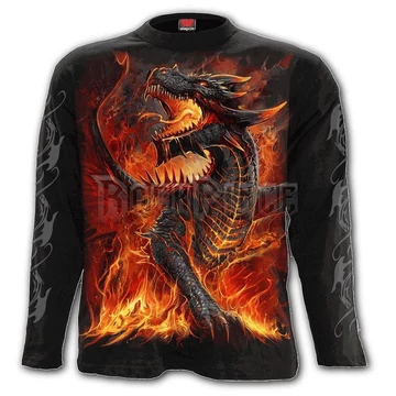 DRACONIS - Longsleeve T-Shirt Black (Plain) - L046M301