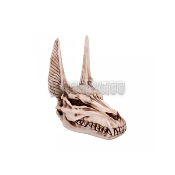 Anubis Skull - koponya - D4736P9
