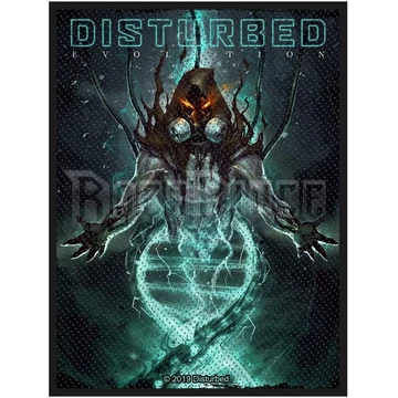 Disturbed - Evolution Hooded - kisfelvarró - SP3068