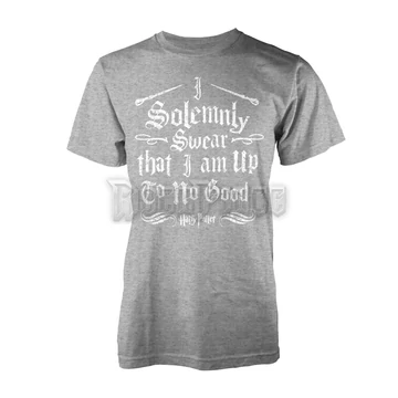 HARRY POTTER - SOLEMNLY SWEAR - PH9558