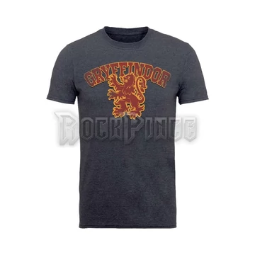 HARRY POTTER - GRYFFINDOR SPORT - BILHPT00003