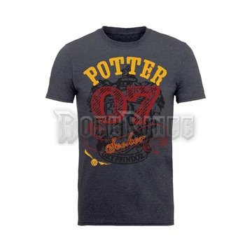 HARRY POTTER - POTTER SEEKER - BILHPT00008