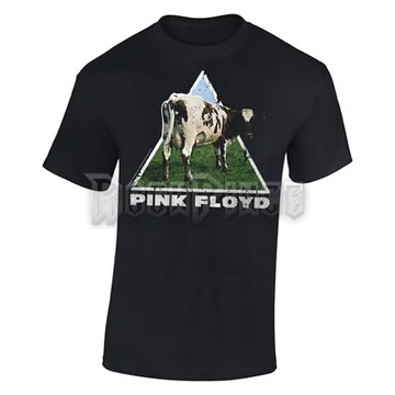 PINK FLOYD - ATOM HEART - PFTS05004