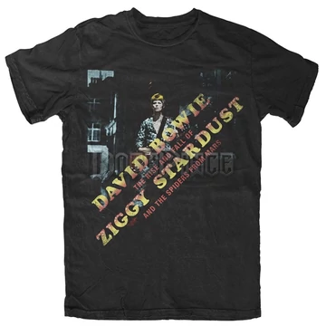 DAVID BOWIE - ZIGGY DIAGONAL LOGO - RTBOW1020