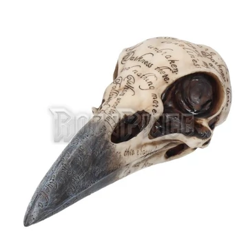 Edgar&#039;s Raven Skull - hollókoponya - B1986F6