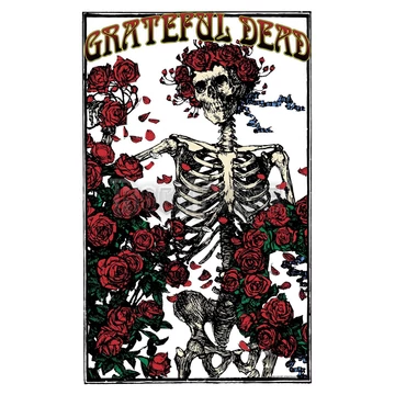 GRATEFUL DEAD - SKELETON &amp; ROSE - Textil poszter / Zászló - TP287