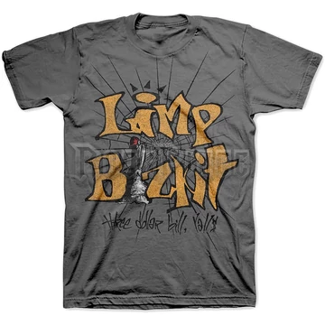 LIMP BIZKIT - 3 DOLLAR BILL - unisex póló - LBIZTS01MG