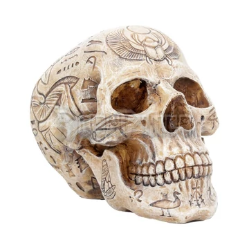 Hieroglyphic Skull - koponya - D4227M8