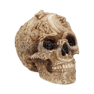 Cranial Drakos - koponya - U4465N9