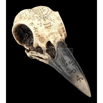 Skull - Raven Skull with Mystic Symbols - 708-7989