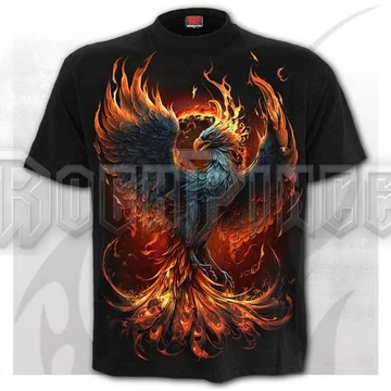 ASHES REBORN - T-Shirt Black - T227M101