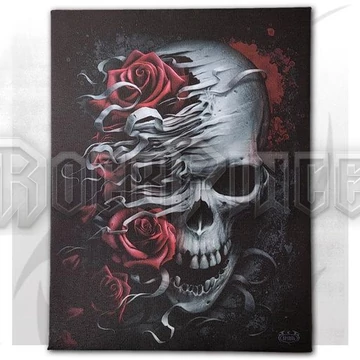 SKULLS N&#039; ROSES - Canvas Poster 25x19cm - E024A252