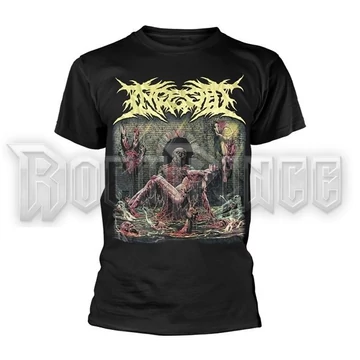 INGESTED - CESSPOOL - unisex póló - PHD13239