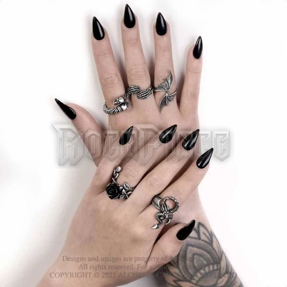 Alchemy - Wild Black Rose - gyűrű R241