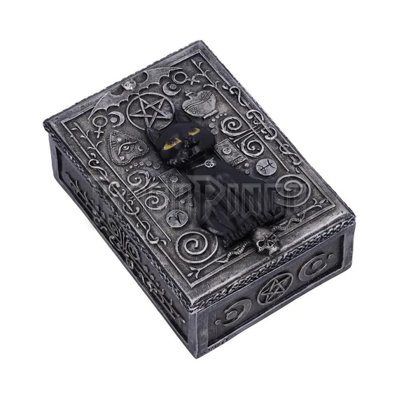 Familiar Spell Box - ékszeres doboz - U5476T1