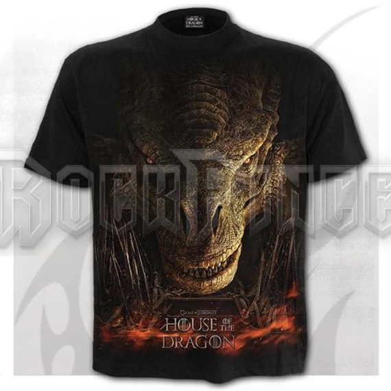 HOD - DRAGON THRONE - Front Print T-Shirt Black - G555M121