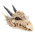 Dragon Skull Box - ÉKSZERES DOBOZ - AL50057