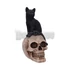 Black Witches - Cat and Skull Figurine - szobor - U5453T1